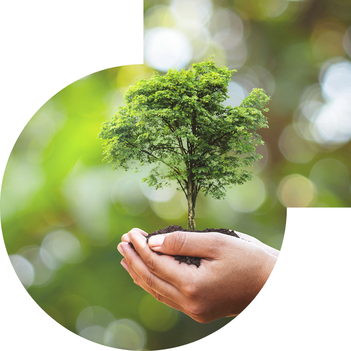 关怀人类、文化、环境与社会